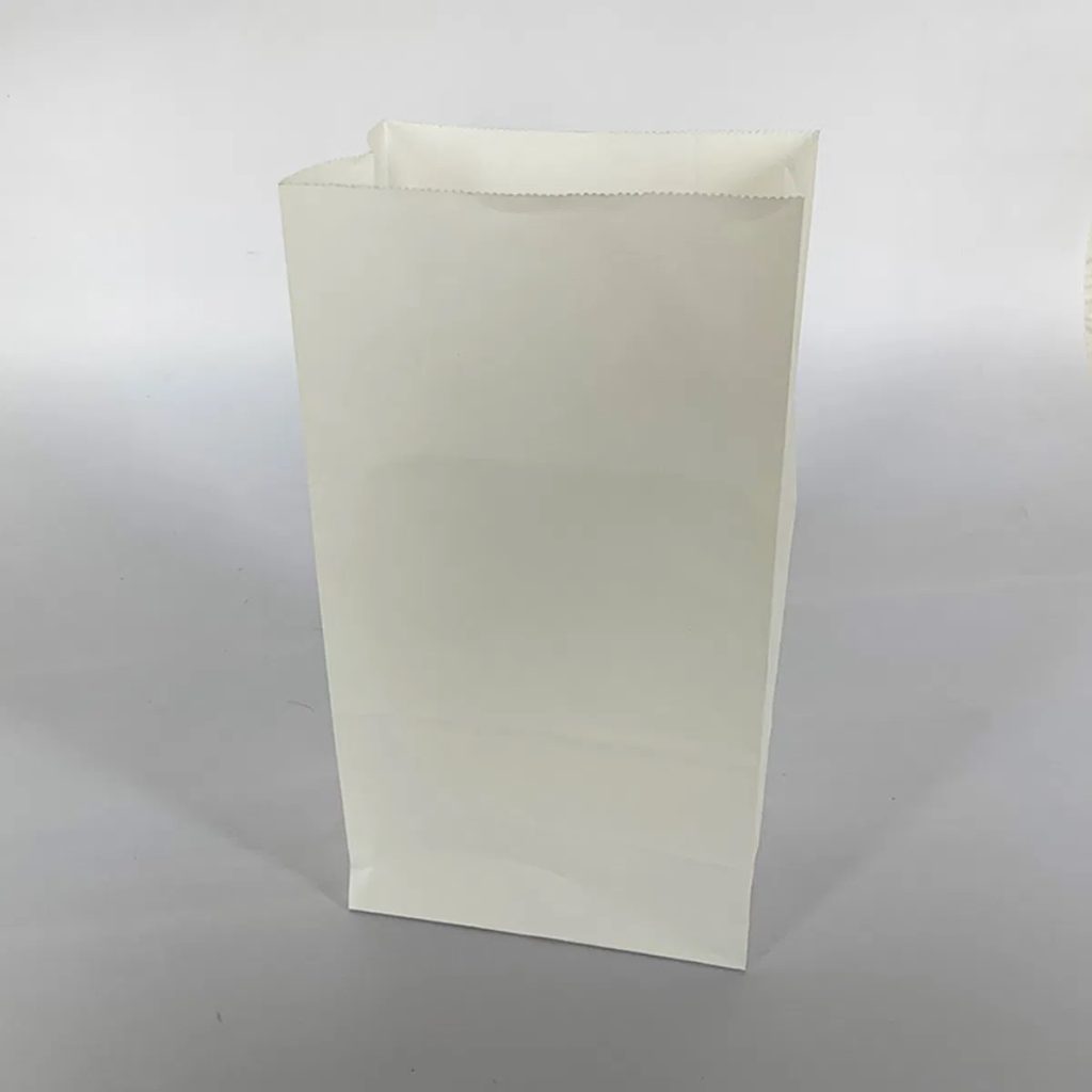 Custom-Shopping-Paper-Bag-Bag